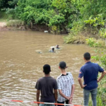 Corpo de adolescente é encontrado em córrego de Campo Grande.