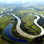 Superfície de água aumenta, mas seca no Pantanal ainda preocupa cientistas.