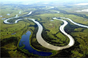 Superfície de água aumenta, mas seca no Pantanal ainda preocupa cientistas.