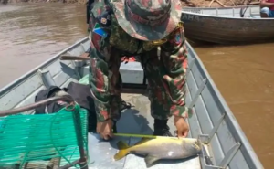 Piracema chega ao fim e temporada de pesca em MS é reaberta nesta quarta-feira (1).