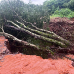 Chuva abre cratera que “engole” via, derruba árvores e isola moradores na Chácara dos Poderes.