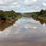 Três rios de MS estão em alerta e em 2 cidades chove mais do que o esperado para março.