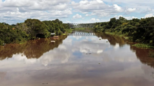 Três rios de MS estão em alerta e em 2 cidades chove mais do que o esperado para março.