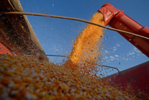 Agro e serviços resistem à proposta de reforma tributária debatida no Congresso.