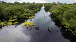 Após anos de estiagem, águas cobrem estradas e criam cenas de tirar o fôlego no Pantanal.