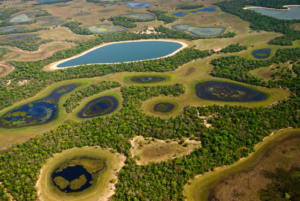 Pesquisa mostra queda de incêndios florestais em MS e principalmente no Pantanal.