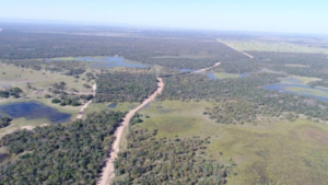 Após reportagens, Agesul paralisa obra de Patrola com o km de cascalho mais caro do Pantanal.