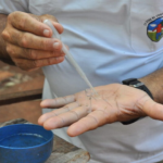 Saúde confirma mais uma morte por dengue e investiga outras sete em MS.