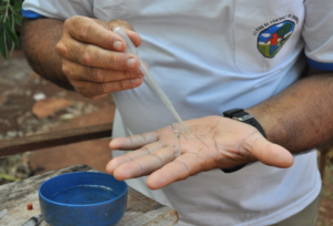 Saúde confirma mais uma morte por dengue e investiga outras sete em MS.