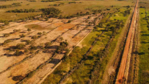 Desmatamento em fazenda de Patrola e estrada sem licença ambiental viram alvo de investigação.