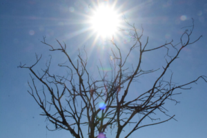 Agosto inicia com maior temperatura do inverno, chegando a 38° C em Campo Grande.