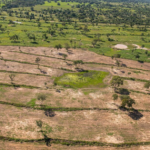 MPE diz que lei de MS é permissiva e exige fim dos desmatamentos no Pantanal.