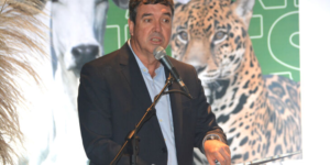 Em evento com foco ambiental, Riedel diz que viabilidade econômica do Pantanal é desafio.