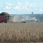 Campo Grande é a capital com a maior produção agrícola do Brasil.