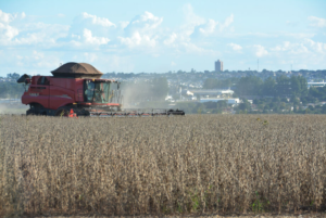 Campo Grande é a capital com a maior produção agrícola do Brasil.