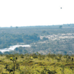 Governo federal quer recuperar até 1,8 milhão de hectares de áreas degradadas no Estado.