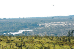 Governo federal quer recuperar até 1,8 milhão de hectares de áreas degradadas no Estado.