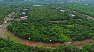 Desmatamento foi liberado no Parque dos Poderes em ‘acordão’ sem estudo de impacto ambiental.