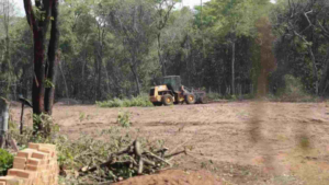 MPMS vai contra ambientalistas para homologar acordo que autoriza desmatamento no Parque dos Poderes.