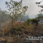 Equipes dos Bombeiros e PrevFogo combatem incêndio no Pantanal em MS.