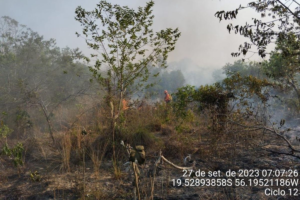 Equipes dos Bombeiros e PrevFogo combatem incêndio no Pantanal em MS.