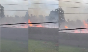 Com incêndio em vegetação próxima a condomínios, fumaça aciona alarme de hospital em Campo Grande.