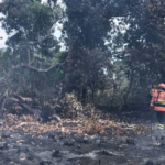 Bombeiros de MS controlam grande parte do incêndio no Pantanal.