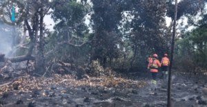 Bombeiros de MS controlam grande parte do incêndio no Pantanal.