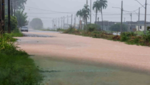 Chuva forte deixa rastro de destruição em bairros de Campo Grande.