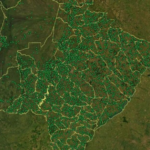 MS tem 64% do seu território apto para atividade agropecuária.