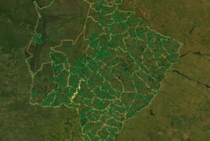 MS tem 64% do seu território apto para atividade agropecuária.