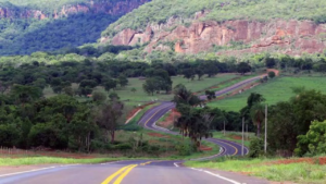 Com aval da Agesul, estrada turística no Pantanal recebe 20 viagens de tritrens da Suzano por dia.