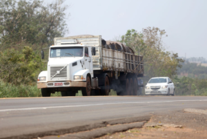 Perto de prazo acabar, MS tem mais de 61 mil motoristas que ainda não realizaram exame toxicológico.