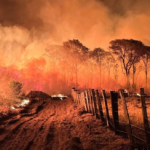 Ibama autoriza contratação de 145 brigadistas para a prevenção e combate de incêndios florestais em MS.