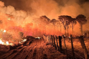 Ibama autoriza contratação de 145 brigadistas para a prevenção e combate de incêndios florestais em MS.