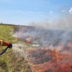 Governo Federal não descarta acionar ajuda internacional para combate aos incêndios no Pantanal.