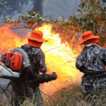 Advogado de Fernandinho Beira-Mar, família de banqueiro: veja a lista dos donos de fazenda investigados por incêndios no Pantanal.