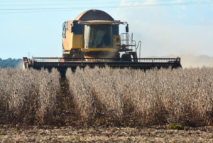 Mato Grosso do Sul tem potencial para dobrar a área plantada de soja em 5 anos.