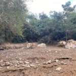 Trecho de rio com águas cristalinas seca e expõe morte de animais em MS; veja ANTES e DEPOIS.