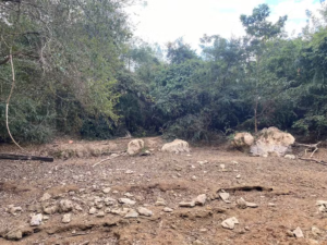 Trecho de rio com águas cristalinas seca e expõe morte de animais em MS; veja ANTES e DEPOIS.