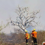 Novo grande incêndio no Pantanal do Porto Maracangalha mobiliza bombeiros.